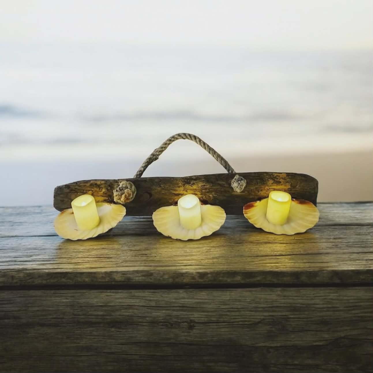 0a745ac8 0c2a 4f91 8ed5 f716a454db2b