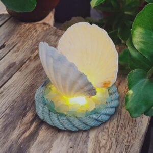 2e3e87a3 cf67 48f0 a974 f4838cb0f312