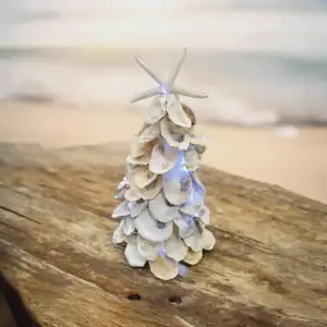 Shell craft